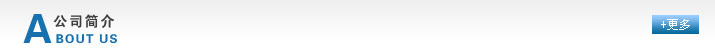 公司简介