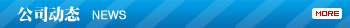 公司动态